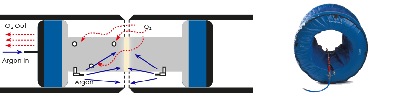 tag rapid purge system
